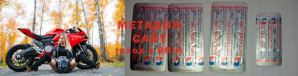 сатива Каменка