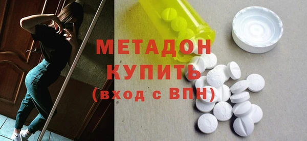 сатива Каменка