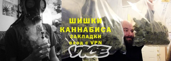 сатива Каменка