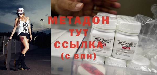 сатива Каменка