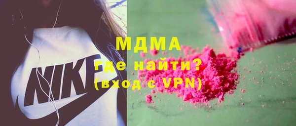 сатива Каменка