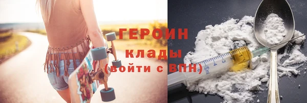 сатива Каменка