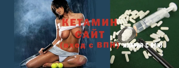 сатива Каменка