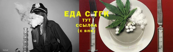 сатива Каменка