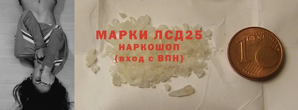 сатива Каменка