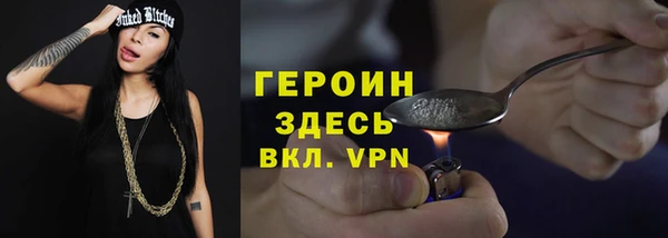 сатива Каменка