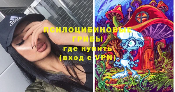 таблы Каменногорск