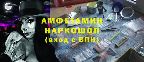 сатива Каменка
