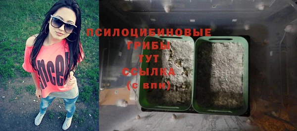 таблы Каменногорск