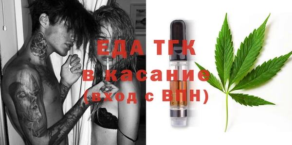 сатива Каменка